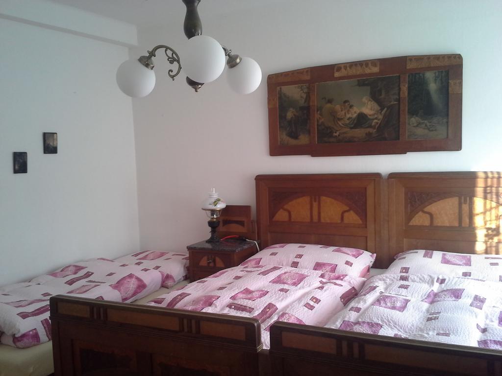 Vila Patricie Лугачовице Номер фото